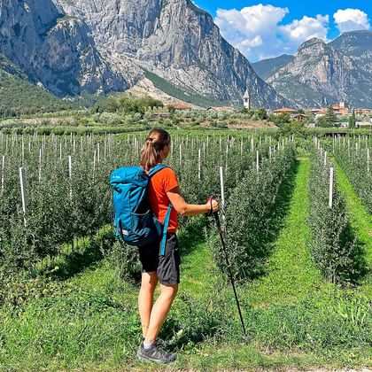 Solo Holidays Great tours when you travel alone Bering Travel
